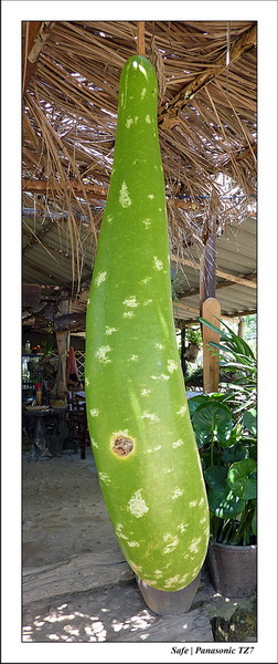 2012 - 03 - Koh Lanta 23